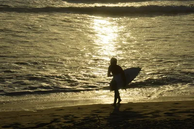 DSC_7260 (Large).JPG